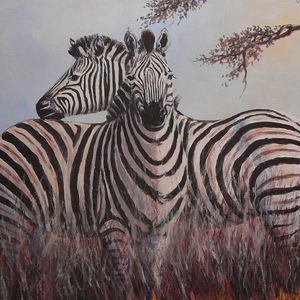 Two Zebras