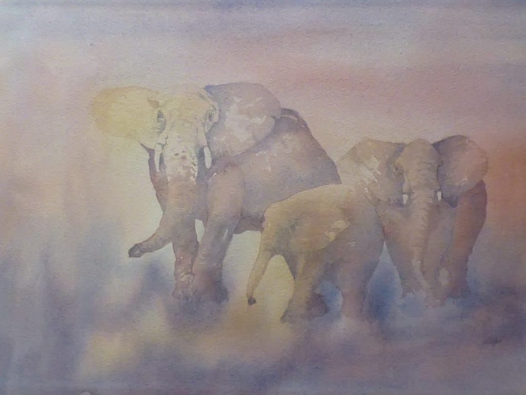 African Elephant Series - 1 by Cooper, Jim