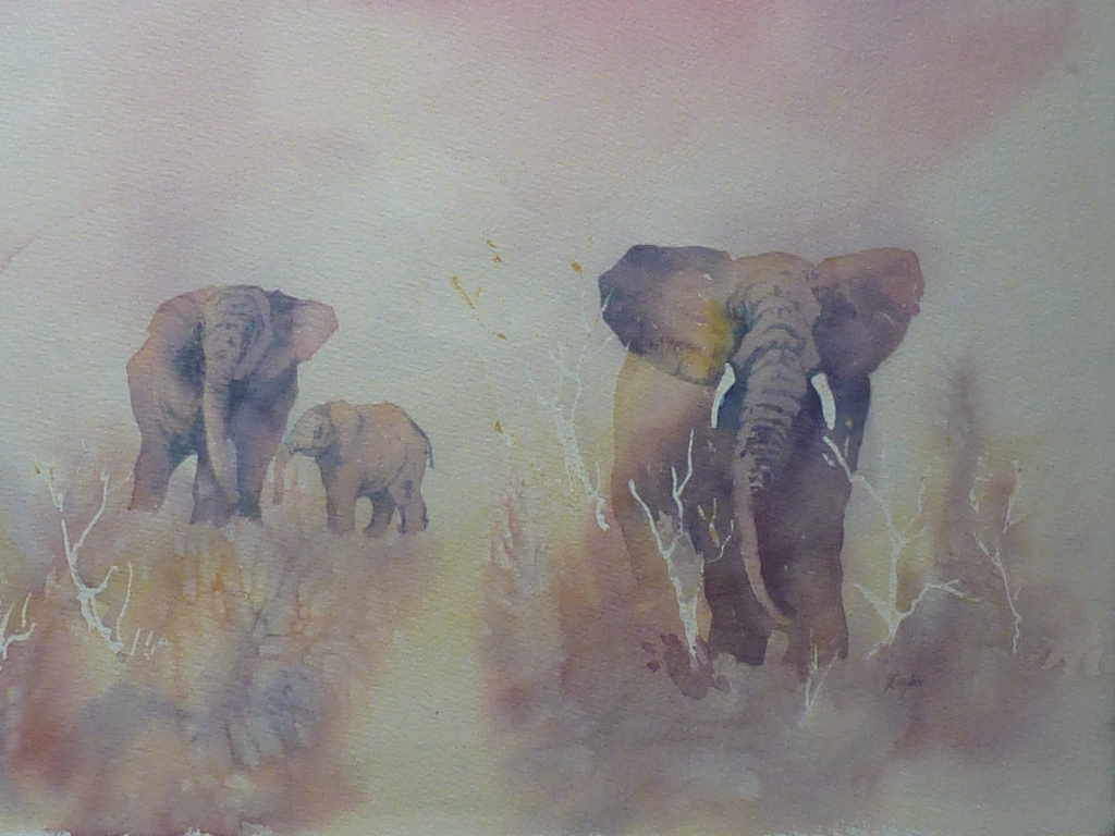 African Elephant Series - 2