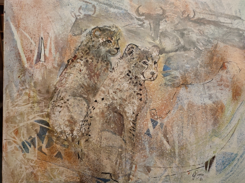 Cheetahs Contemplating