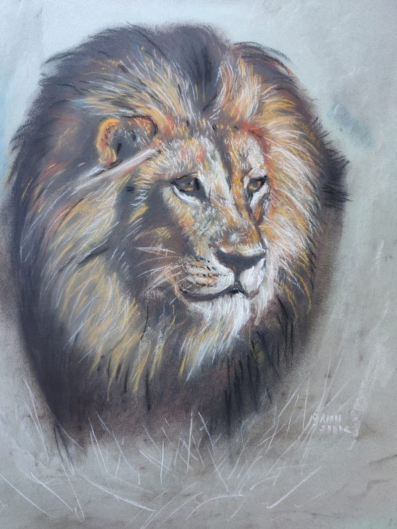 Lion's Head by Shear, Brian