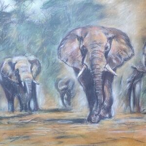 Elephant Herd