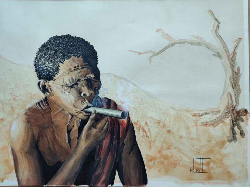 Bushman's Delightful Cigar by Elliott, Mike