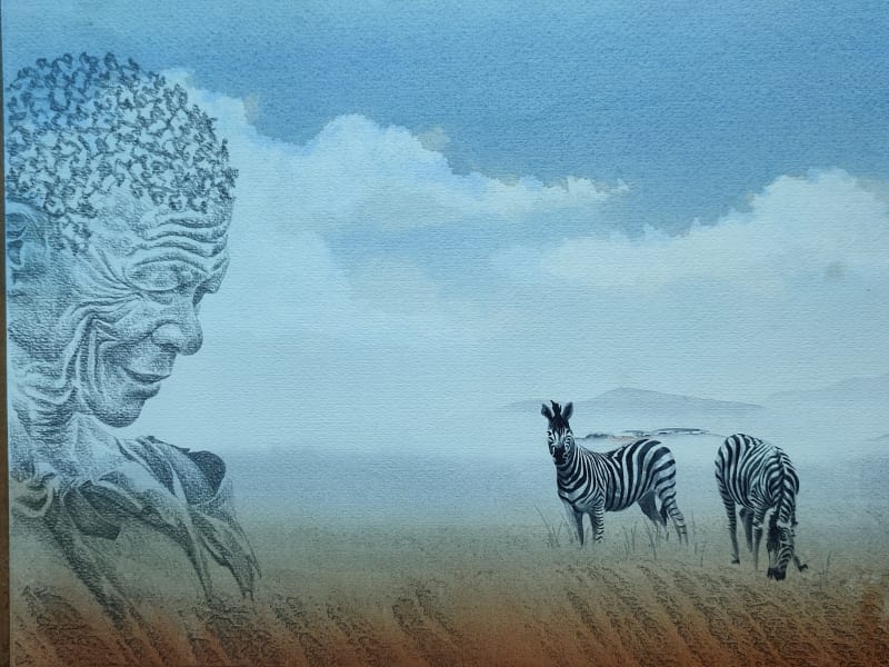 Watch the Zebras by Elliott, Mike