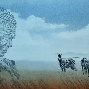 Watch the Zebras by Elliott, Mike