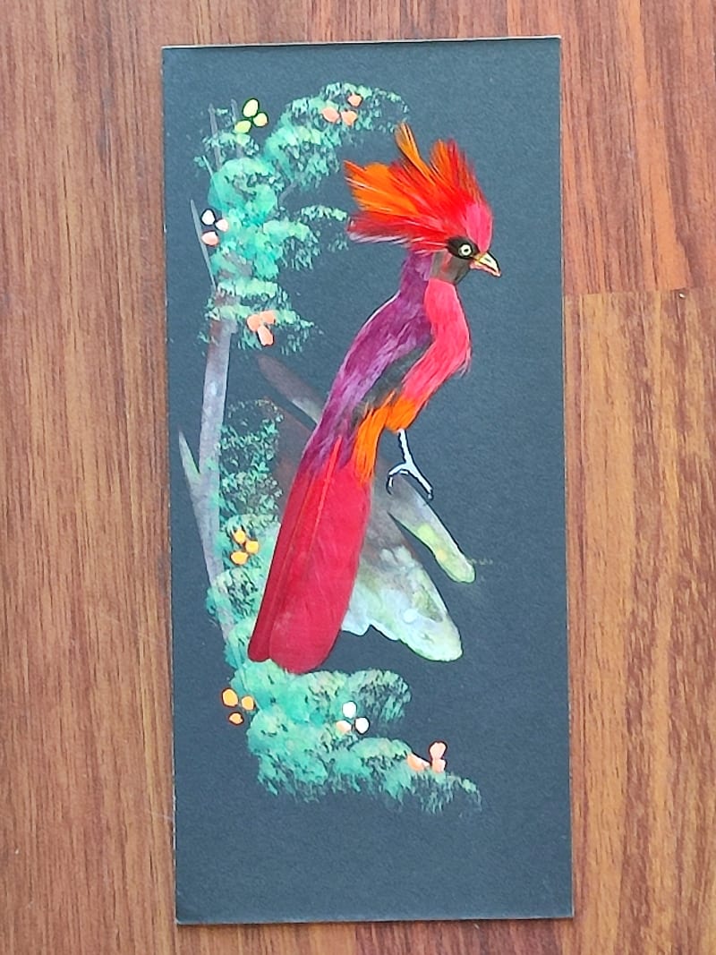 Birds of Paradise (3) by International Variety - Art & Craft